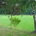 IMG_2756.JPG