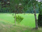 IMG_2756.JPG