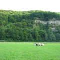 IMG_2758.JPG