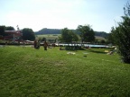 RIMG0019.JPG
