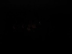 RIMG0023.JPG