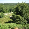 RIMG0059.JPG