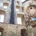 RIMG0062.JPG