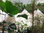 DSCF0163