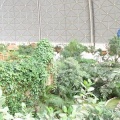 DSCF0168