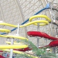 DSCF0169