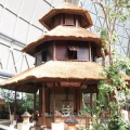 DSCF0179