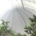 DSCF0185