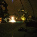 BILD0033