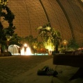BILD0035
