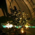 BILD0036