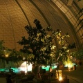 BILD0037