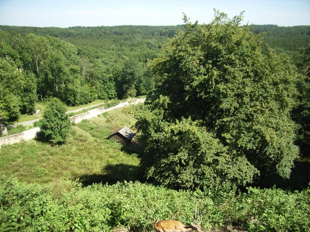 RIMG0059.JPG