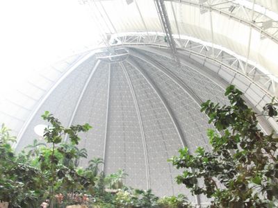 DSCF0185.JPG
